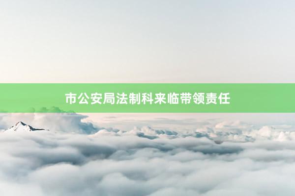 市公安局法制科来临带领责任
